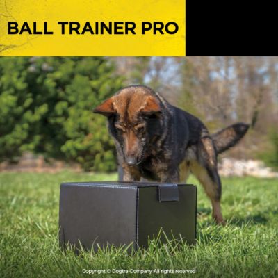 Image showing 5 th Dogtra Ball Trainer Pro Rechargeable 100-Yard Dual-Function Launcher/Dropper