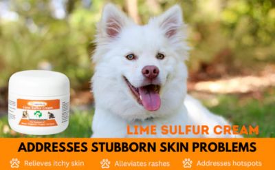 Image showing 6 th Healthy Paw Life 2 oz. Lime Sulfur Cream - Veterinary Treatment for Itchy and Dry Skin
