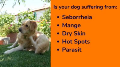 Image showing  16 oz. Sulfur Salicylic Acid Oatmeal Shampoo - Antiparasitic & Antiseborrheic Shampoo