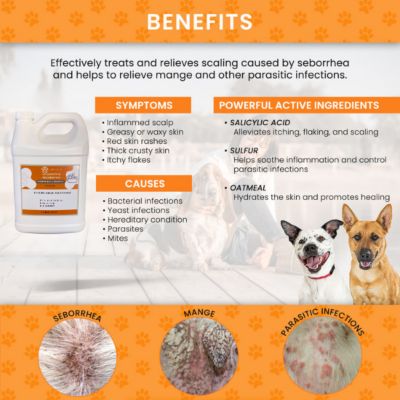 Image showing  128 oz. Sulfur Salicylic Acid Oatmeal Shampoo - Antiparasitic & Antiseborrheic Shampoo