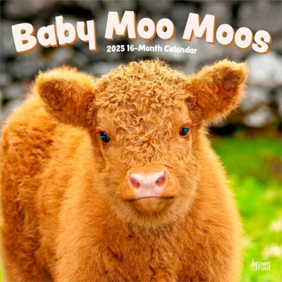 Browntrout Publishers Baby Moo Moos 2025 12 x 24 in. Monthly Square Wall Calendar Plastic Free