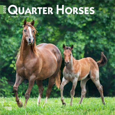 Browntrout Publishers Quarter Horses 2025 12 x 24 in. Monthly Square Wall Calendar Plastic Free