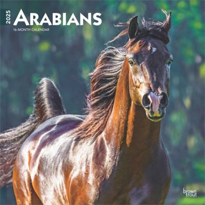 Browntrout Publishers Arabians 2025 12 x 24 in. Monthly Square Wall Calendar