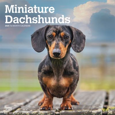 Gifts For Dachshund at Tractor Supply Co