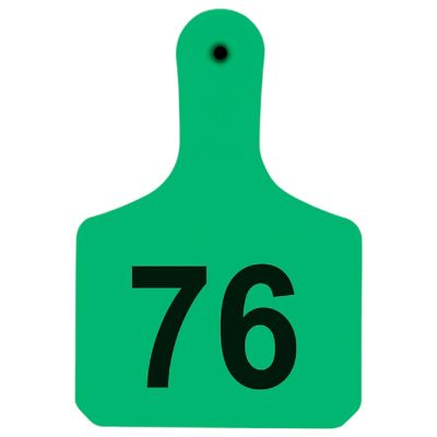 Y-TEX Numbered Calf Y-Tags, 1 pc., 076-100, Green, 25-Pack