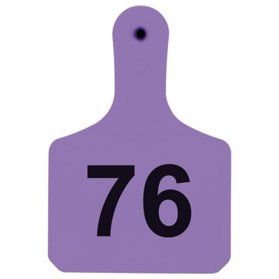 Y-TEX Numbered Calf Y-Tags, 1 pc., 076-100, Purple, 25-Pack