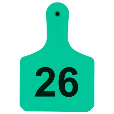 Y-TEX Numbered Calf Y-Tags, 1 pc., 026-050, Turquoise, 25-Pack