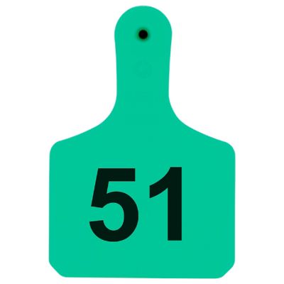 Y-TEX Numbered Calf Y-Tags, 1 pc., 051-075, Turquoise, 25-Pack