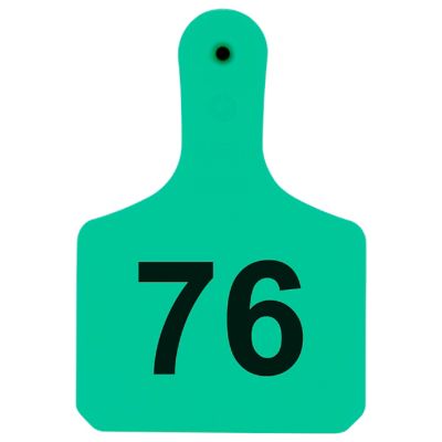 Y-TEX Numbered Calf Y-Tags, 1 pc., 076-100, Turquoise, 25-Pack