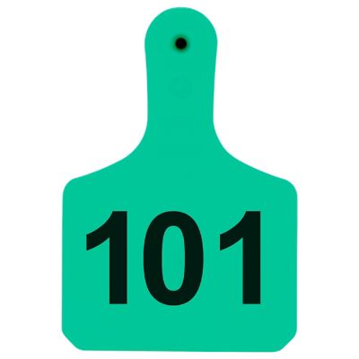 Y-TEX Numbered Calf Y-Tags, 1 pc., 101-125, Turquoise, 25-Pack