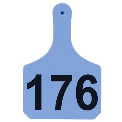 tag. 67251__96980.1739249245.386.