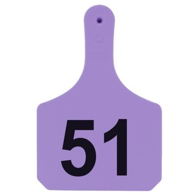 Y-TEX Numbered Cattle Y-Tags, 1 pc., 051-075, Purple, 25-Pack