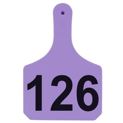 Image showing  Numbered Cattle Y-Tags, 1 pc., 126-150, Purple, 25-Pack