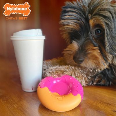 Image showing  Nyla Donut Regular Durachew Dog Chew Toy
