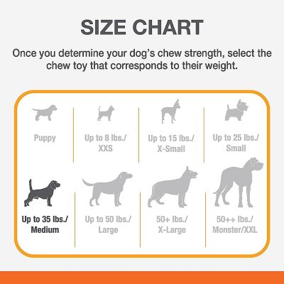 Image showing 5 th Nylabone Nyla Donut Regular Durachew Dog Chew Toy