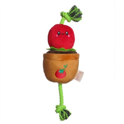Image showing  Tomato Treat-and-Tug Dog Toy