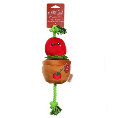 Image showing  Tomato Treat-and-Tug Dog Toy