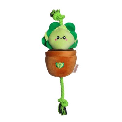 Image showing 1 th Territory Lettuce Treat-and-Tug Dog Toy