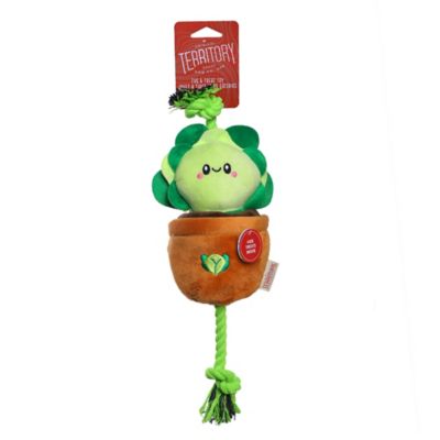 Image showing 3 th Territory Lettuce Treat-and-Tug Dog Toy
