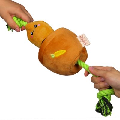 Territory Carrot Treat-and-Tug Dog Toy