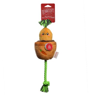 Image showing  Carrot Treat-and-Tug Dog Toy