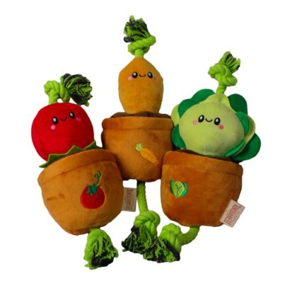 Image showing  Carrot Treat-and-Tug Dog Toy