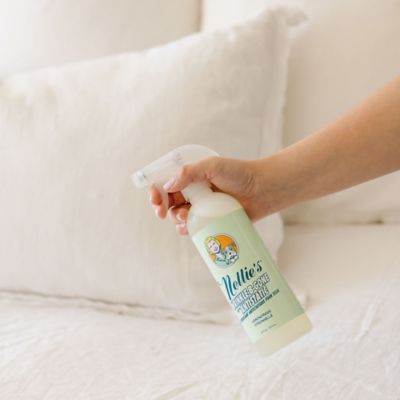 Image showing  Wrinkle-B-Gone Spray, Ironing Aid