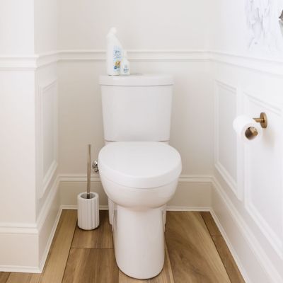 Image showing  Toilet Bowl Cleaner