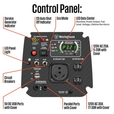 Image showing  4,000/3,300-Watt Gasoline Powered Portable Inverter Generator, Recoil Start, CO Sensor