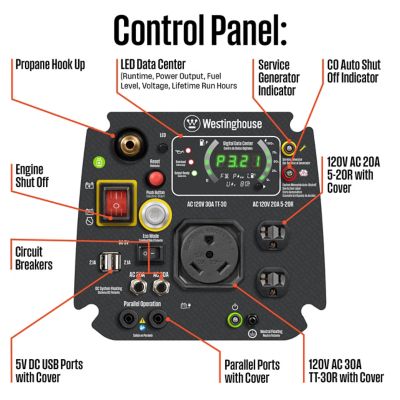 Image showing  4,000/3,300-Watt Dual-Fuel Portable Inverter Generator, Remote Start, CO Sensor