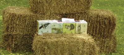 Image showing  High Density Foam Varmint Target Block for Pellets and BBs