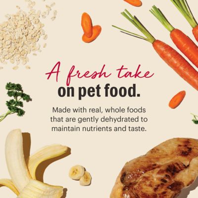 Image showing  Whole Grain Chicken Dehydrated Dog Food, 2 lb.