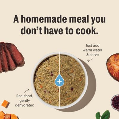 Image showing  Whole Grain Chicken Dehydrated Dog Food, 2 lb.