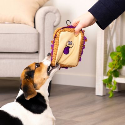 Image showing  PBJ Squeaky Plush Chew Guard Dog Toy, Medium