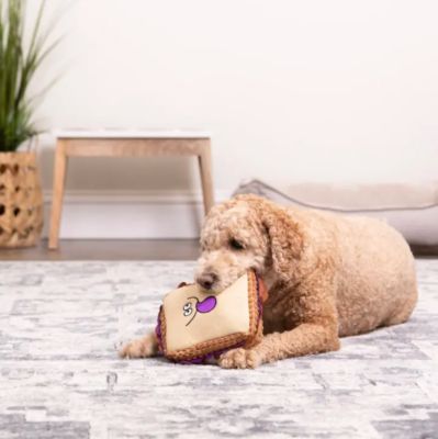 Image showing  PBJ Squeaky Plush Chew Guard Dog Toy, Medium