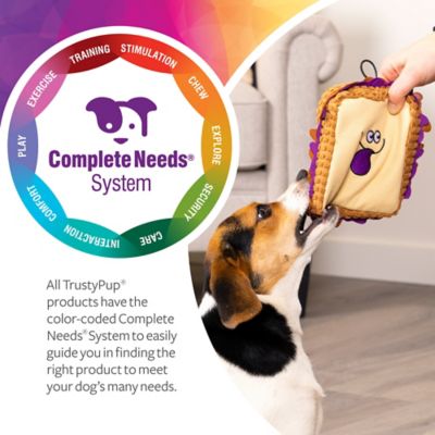 Image showing 7 th TrustyPup PBJ Squeaky Plush Chew Guard Dog Toy, Medium