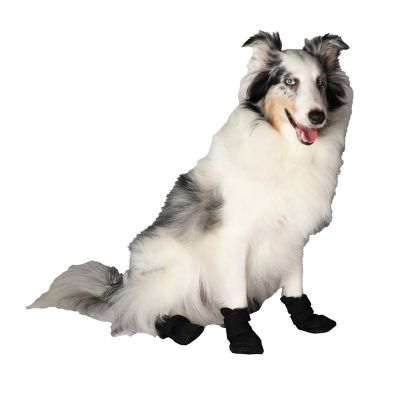 Tractor Supply Wrap Dog Booties, Pack of 4