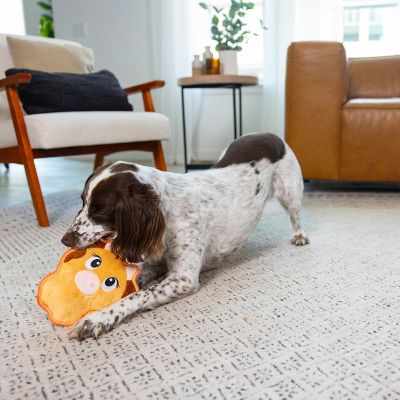 Image showing  Assorted Tough Skinz Dog Chew Toy