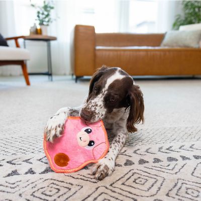 Image showing  Assorted Tough Skinz Dog Chew Toy