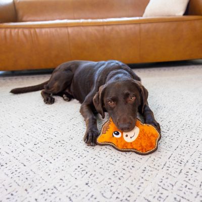 Image showing  Assorted Tough Skinz Dog Chew Toy