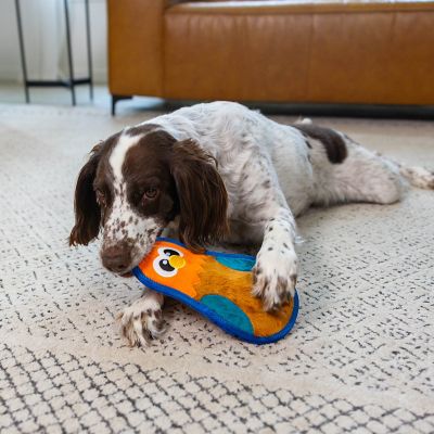 Image showing  Assorted Tough Skinz Dog Chew Toy