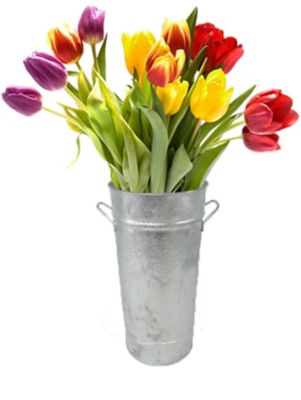 Image showing 5 th Behrens Galvanized Hot Dipped Steel French Vase Flower Pot