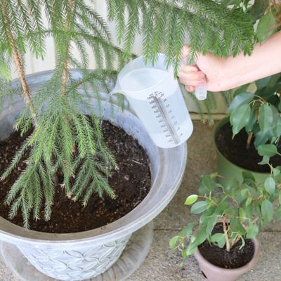 Image showing 5 th Valley Industries 32 oz.. Measuring Pitcher