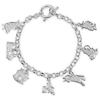 Image showing  Charms Of Champions Rodeo Bracelet, BC5767