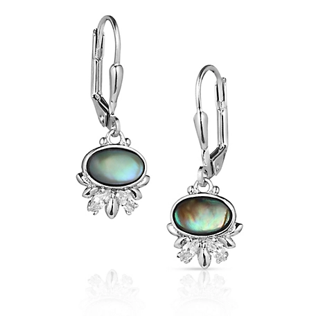 Montana Silversmiths Aurora Lights Crystal Earrings, ER5770