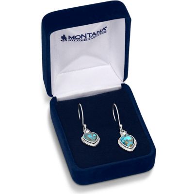 Image showing  Expression Of The West Turquoise Earrings, ER5803