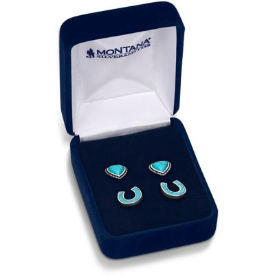 Image showing  Turquoise Heart & Horseshoe Earring Set, ER5807