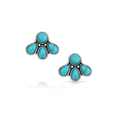 Montana Silversmiths Nature's Wonder Turquoise Earrings, ER5820