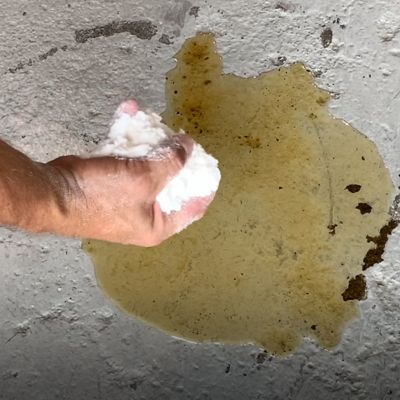 Image showing  10 lb Bag of Cellulose Absorbent.100% Organic.