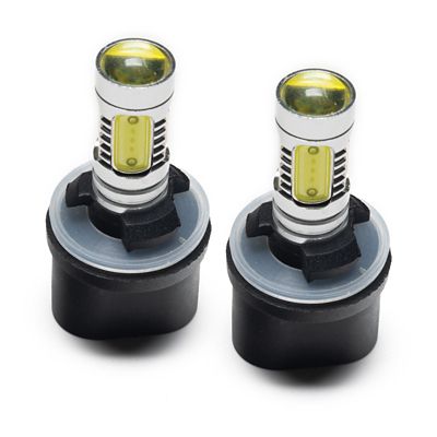 Image showing  880/881 Plasma Bulbs, Pair, 3611-051